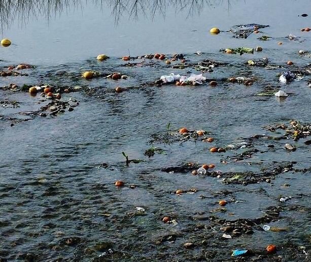 對我們影響至深的水污染有哪些種類